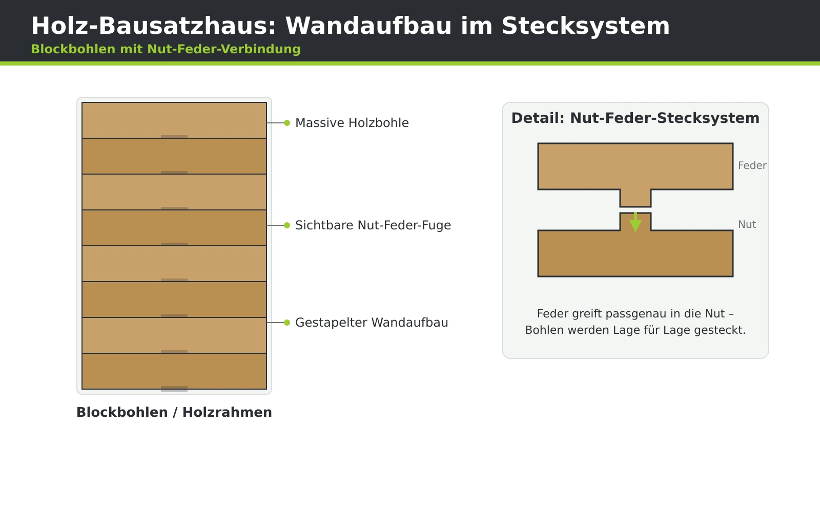 Schematische Zeichnung, wie sich massive Blockbohlen über Nut und Feder zu einer Holzhauswand aufeinanderfügen.